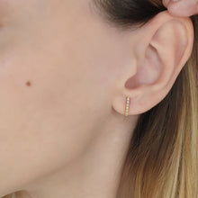 Load image into Gallery viewer, Brown Diamond Bar Earrings
